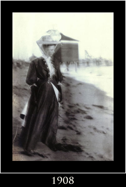 MET Copyright 2011 Ann Mauer/EnviroTechnical Imaging